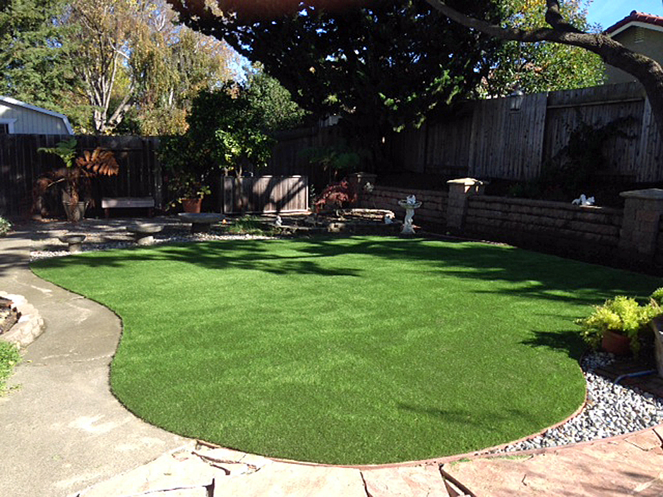 Artificial Grass Carpet Bay Hill Florida Landscape Photos Small