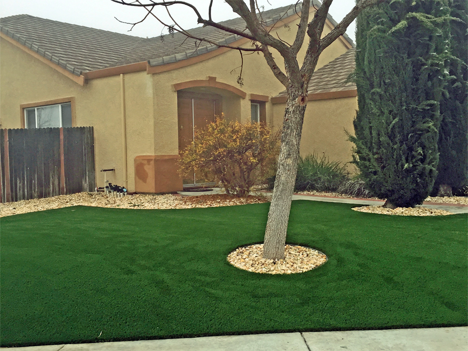 Artificial Turf Cost Sky Lake, Florida Lawns, Front Yard Landscape Ideas