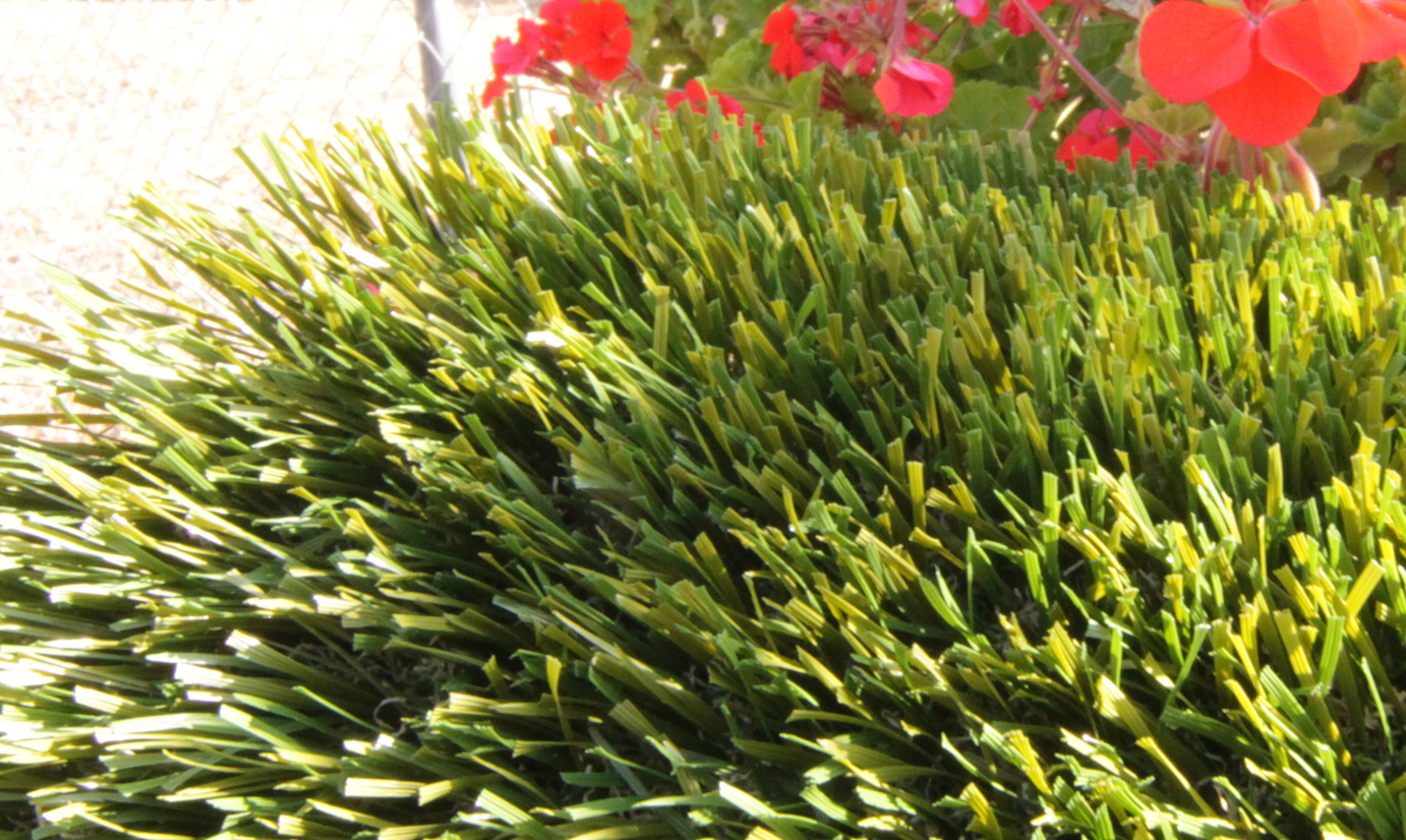 Artificial Grass Double S-61 Artificial Grass Tampa Florida
