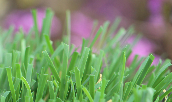 Artificial Grass Emerald-52 Artificial Grass Tampa Florida