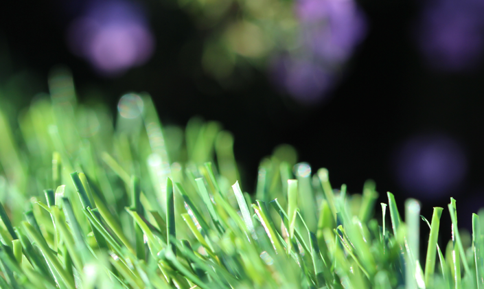 Artificial Grass Evergreen-54 Natural Artificial Grass Tampa Florida