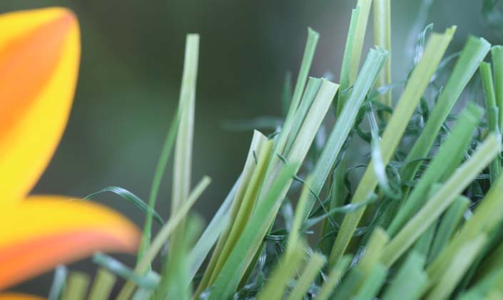 Artificial Grass S Blade-90 Green on Green Artificial Grass Tampa Florida