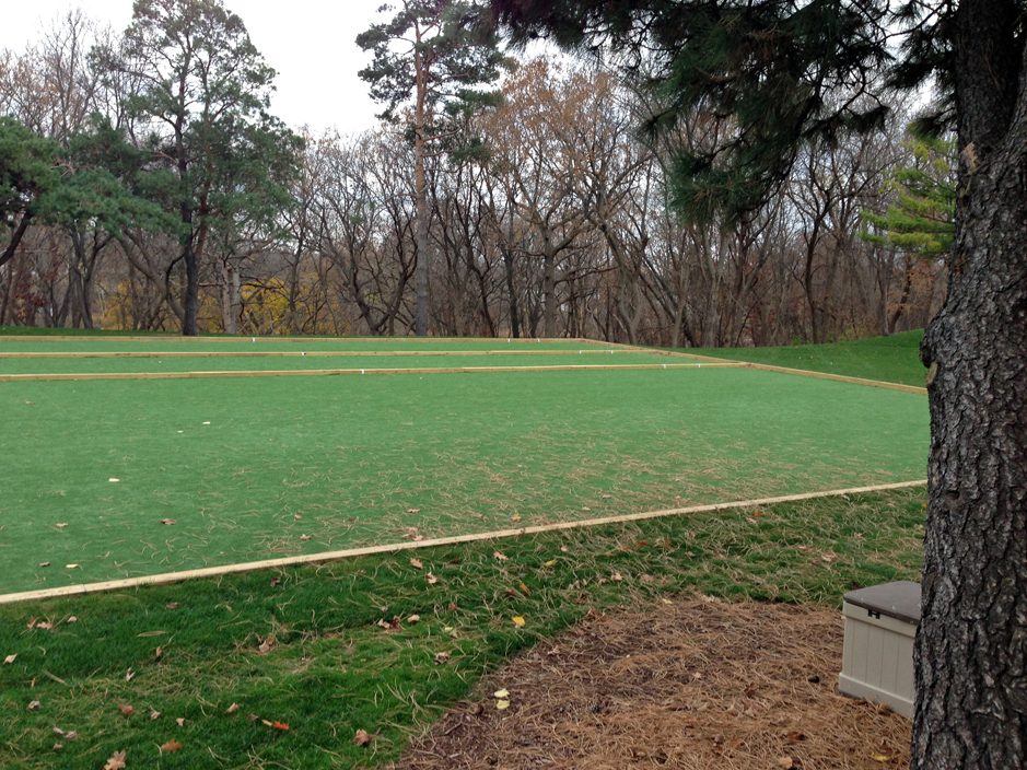 Fake Grass Trinity, Florida Landscape Ideas