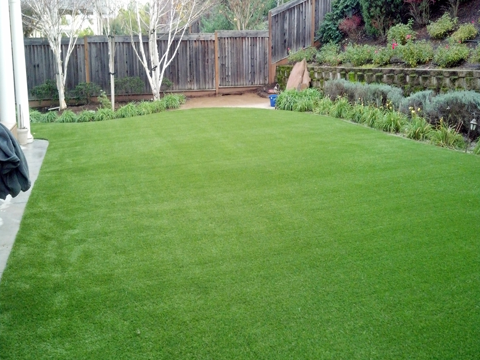 Faux Grass Harbour Heights Florida Paver Patio Small Backyard Ideas