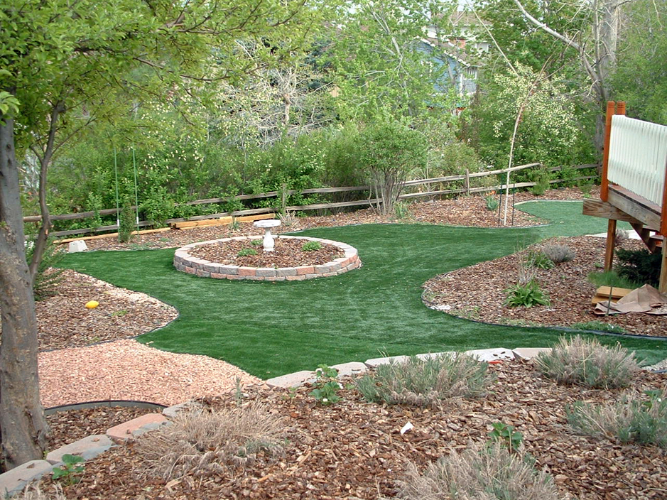Green Lawn Clermont Florida Home And Garden Backyard Landscape Ideas