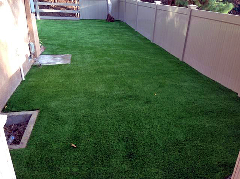 Outdoor Carpet Weeki Wachee Gardens Florida Paver Patio Backyard