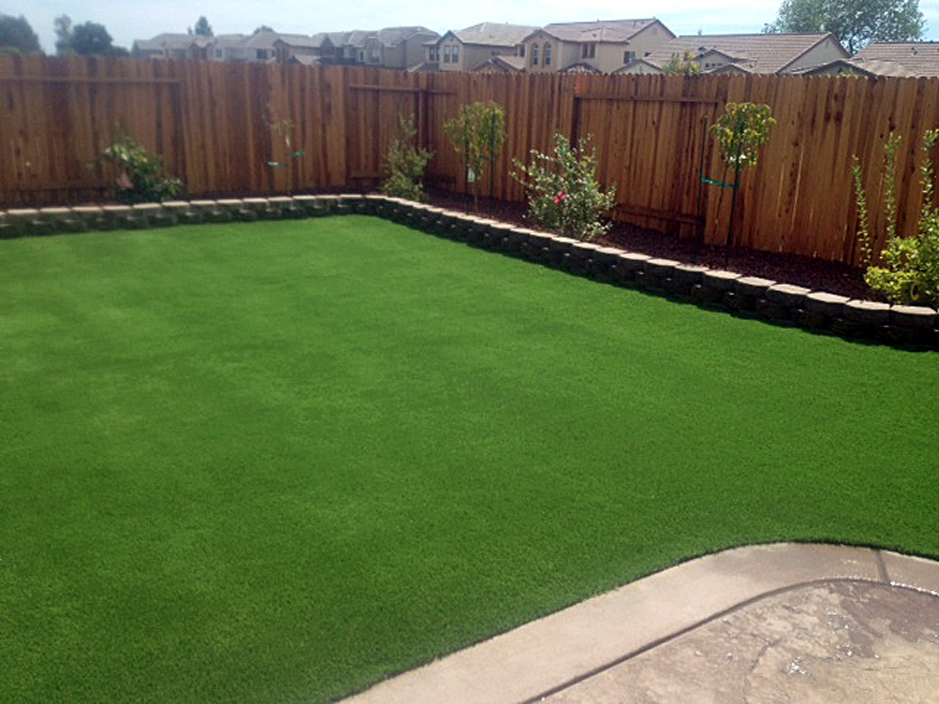 Synthetic Lawn East Lake, Florida Landscape Rock, Beautiful Backyards