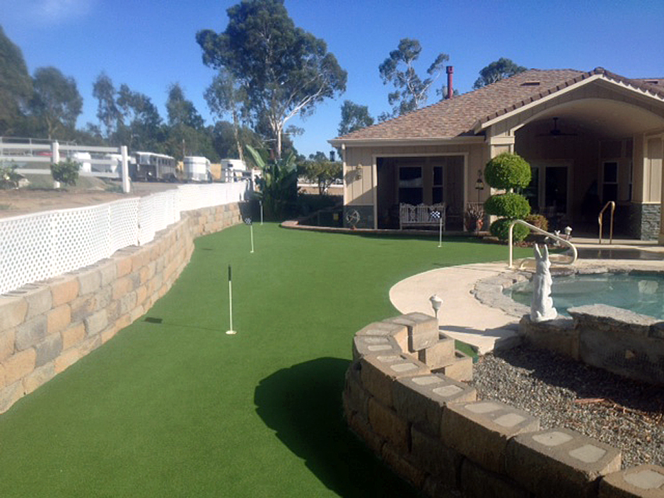 Synthetic Lawn Tierra Verde, Florida Lawn And Garden, Backyard