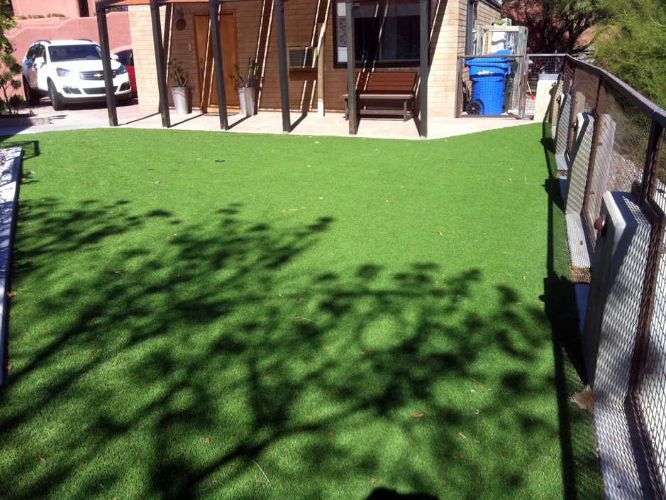 Synthetic Lawn Winter Garden, Florida Landscaping, Backyard Garden Ideas