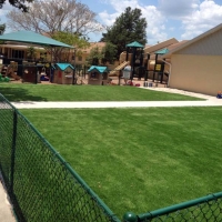 Artificial Grass Installation Wiscon, Florida Garden Ideas, Commercial Landscape