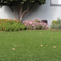 Artificial Lawn Grove City, Florida Roof Top, Front Yard Landscaping