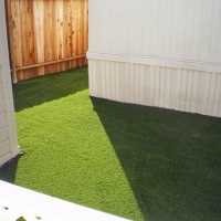 Artificial Turf Jan-Phyl Village, Florida Cat Grass, Backyard Landscaping Ideas