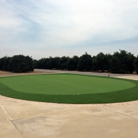 Artificial Turf Lochmoor Waterway Estates, Florida Gardeners, Front Yard