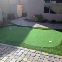 Artificial Turf Ridge Manor, Florida Home Putting Green, Backyard Landscaping