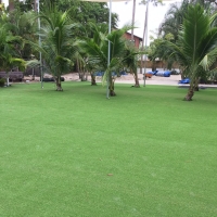 Artificial Turf Union Park, Florida Landscape Ideas, Commercial Landscape