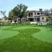 Best Artificial Grass Brewster, Florida Putting Green, Front Yard Design