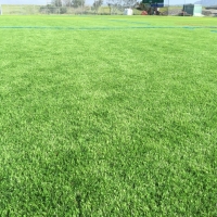 Best Artificial Grass Buenaventura Lakes, Florida Roof Top