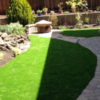 Fake Grass Altamonte Springs, Florida Landscaping Business