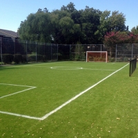 Fake Grass Carpet Hudson, Florida High School Sports, Commercial Landscape