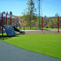 Fake Grass Carpet Medulla, Florida Indoor Playground, Recreational Areas