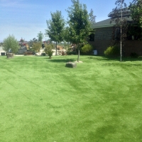 Fake Grass Carpet Spring Lake, Florida Cat Grass, Recreational Areas