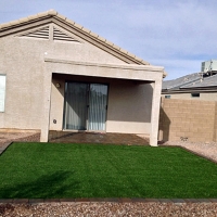 Fake Grass Istachatta, Florida Dog Hospital, Backyard Design