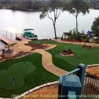 Fake Turf Gibsonton, Florida Landscape Photos, Backyard Landscaping Ideas