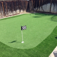 Faux Grass Belleair Shore, Florida Indoor Putting Green, Backyard Landscaping Ideas