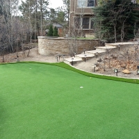 Faux Grass Gardner, Florida Roof Top, Backyard Designs