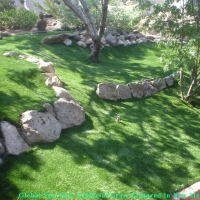 Faux Grass Temple Terrace, Florida Garden Ideas, Pavers