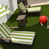 Grass Carpet Heathrow, Florida Lawn And Garden, Backyard Ideas