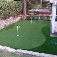 Grass Installation Bonita Springs, Florida Landscape Ideas, Backyard