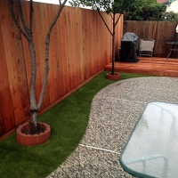 Grass Installation Nocatee, Florida Hotel For Dogs, Backyard Ideas