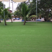 Grass Turf Lockhart, Florida Lawn And Landscape, Commercial Landscape