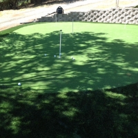 Grass Turf Odessa, Florida Office Putting Green, Beautiful Backyards