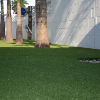 Grass Turf Orlando, Florida Backyard Deck Ideas, Commercial Landscape