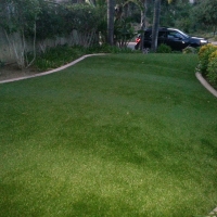 Grass Turf Umatilla, Florida Roof Top, Front Yard Landscaping