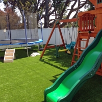 Green Lawn Deltona, Florida Backyard Playground, Backyard