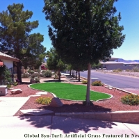 How To Install Artificial Grass Egypt Lake-Leto, Florida Design Ideas, Landscaping Ideas For Front Yard
