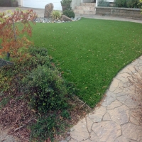 How To Install Artificial Grass Trilby, Florida Pictures Of Dogs, Backyard Landscaping