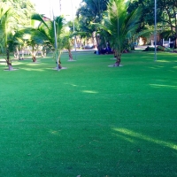 Installing Artificial Grass Belle Isle, Florida Home And Garden, Small Front Yard Landscaping