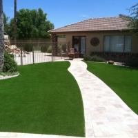 Outdoor Carpet Belleview, Florida City Landscape, Front Yard Landscape Ideas