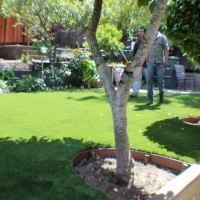 Plastic Grass Meadow Woods, Florida Lawn And Landscape, Backyard Ideas