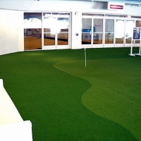 Synthetic Grass Belleair Shore, Florida Putting Green Grass, Commercial Landscape