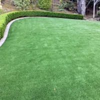 Synthetic Grass Cleveland, Florida Landscape Photos, Small Backyard Ideas