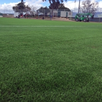 Synthetic Grass Cost Crystal River, Florida Stadium