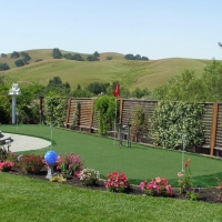 Synthetic Lawn Fort Green Springs, Florida Garden Ideas, Backyard Ideas