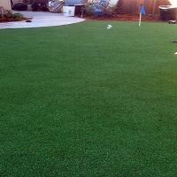 Synthetic Lawn Plant City, Florida Indoor Putting Green, Backyard Landscaping