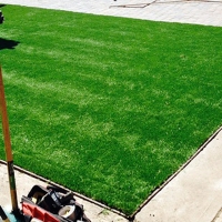 Synthetic Turf DeBary, Florida Gardeners