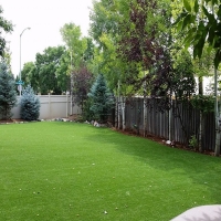 Synthetic Turf Mascotte, Florida Dog Run, Backyard Makeover